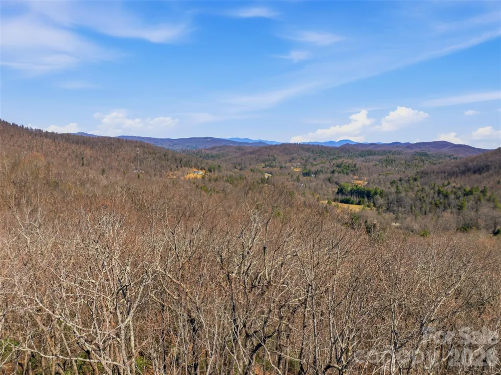 TBD Wild Magnolia Way #52 Zirconia, NC 28790