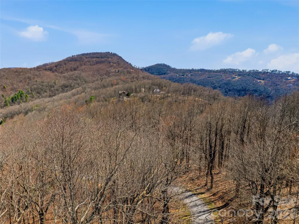TBD Wild Magnolia Way #52 Zirconia, NC 28790