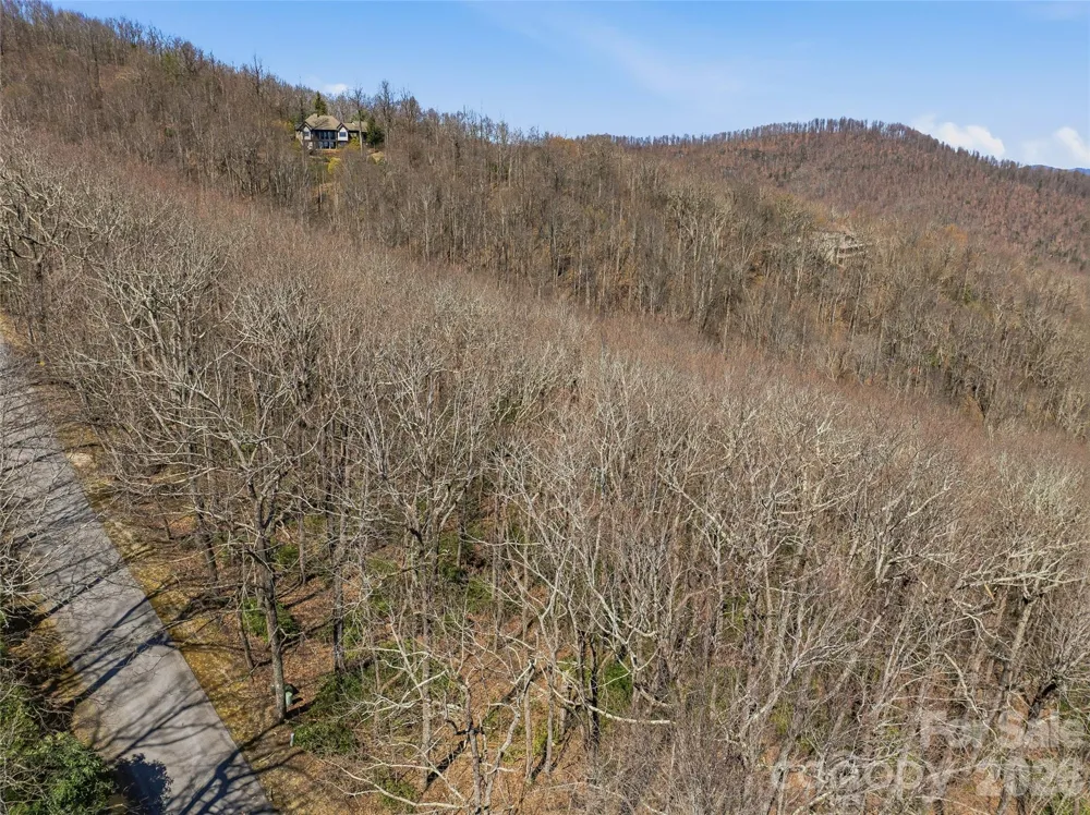 TBD Wild Magnolia Way #52 Zirconia, NC 28790