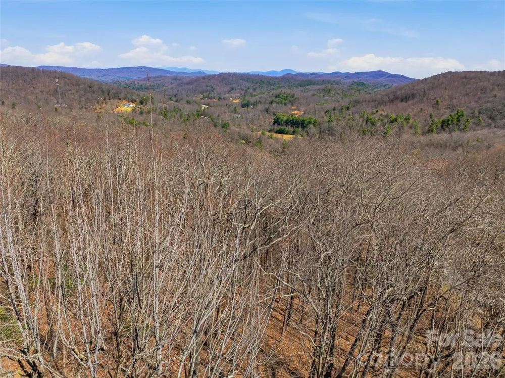 TBD Wild Magnolia Way #52 Zirconia, NC 28790