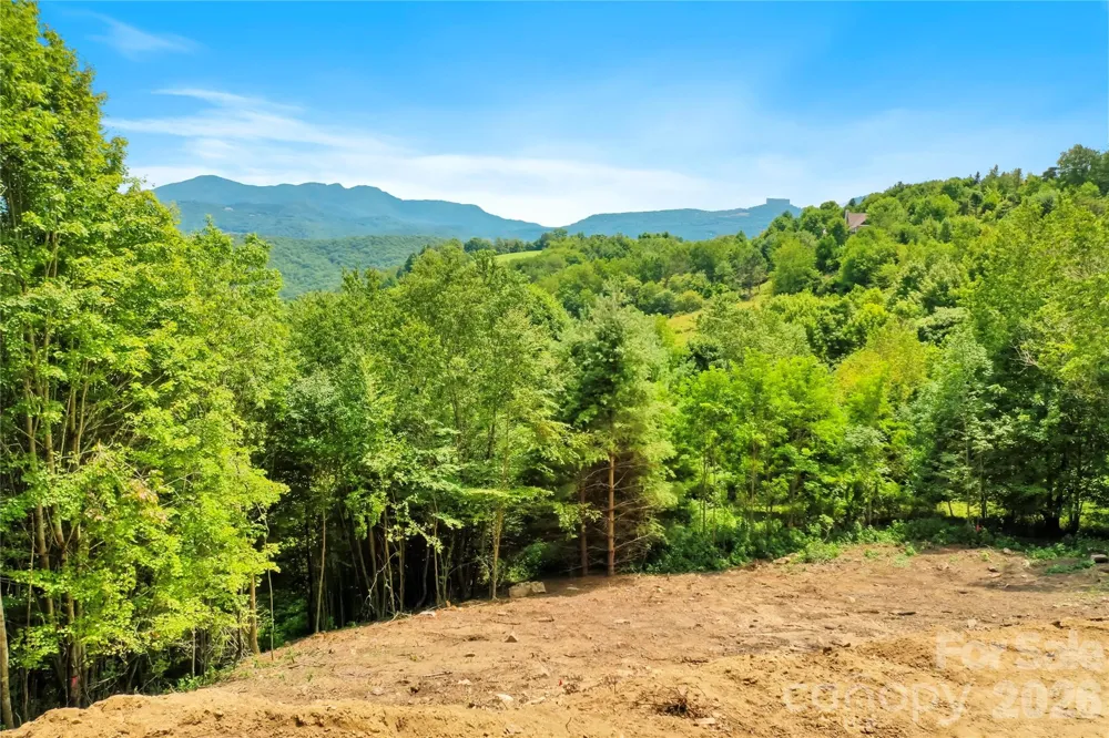 515 Grey Fox Ridge Banner Elk, NC 28604