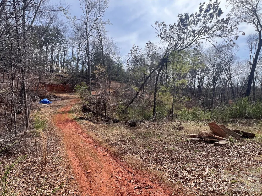 365 Hillbilly Lane Mill Spring, NC 28756