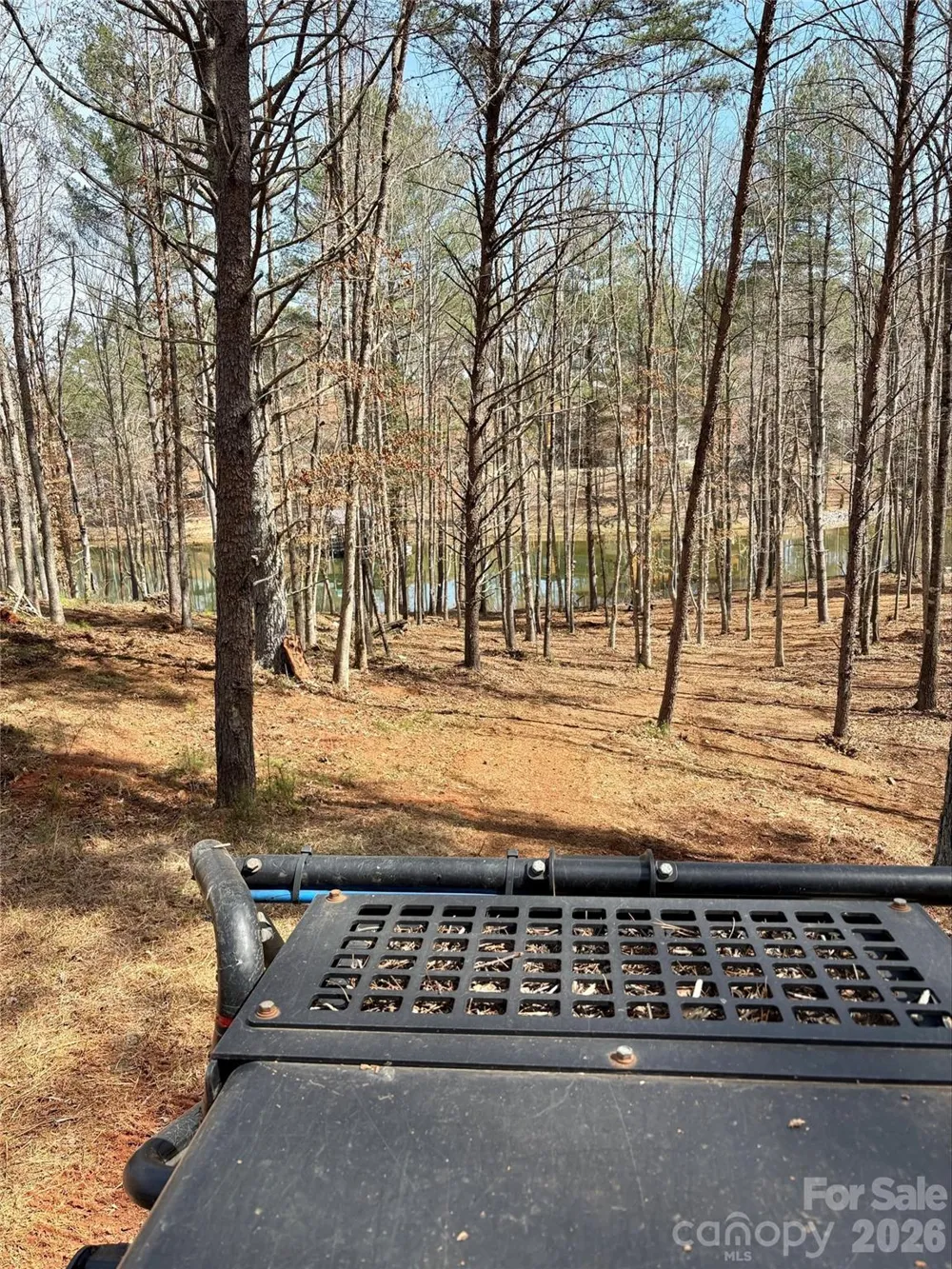 2289 Castle Peak Mountain Mountain #133 Connelly Springs, NC 28612