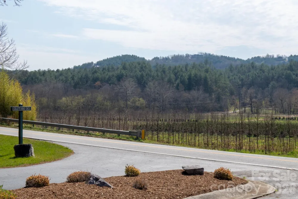TBD Ritter Ridge Lane #27 Collettsville, NC 28611