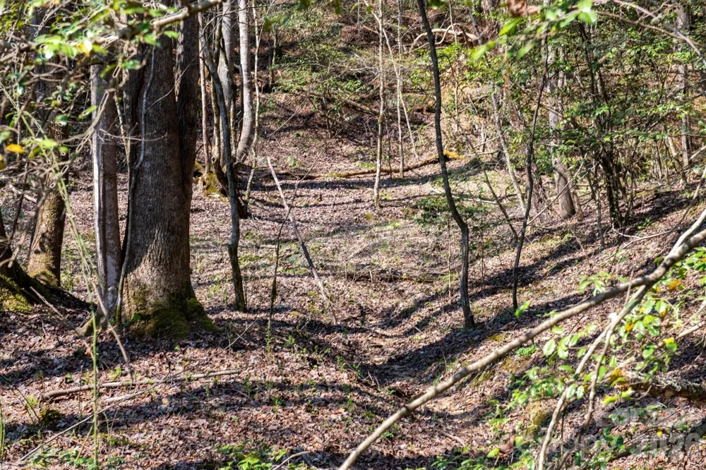 TBD Ritter Ridge Lane #27 Collettsville, NC 28611