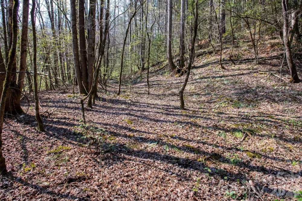 TBD Ritter Ridge Lane #27 Collettsville, NC 28611