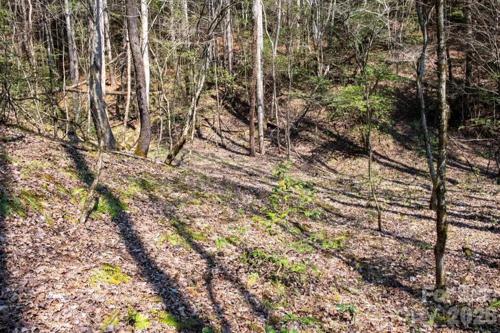TBD Ritter Ridge Lane #27 Collettsville, NC 28611