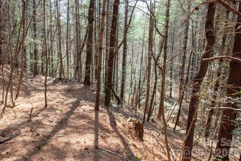 TBD Ritter Ridge Lane #27 Collettsville, NC 28611