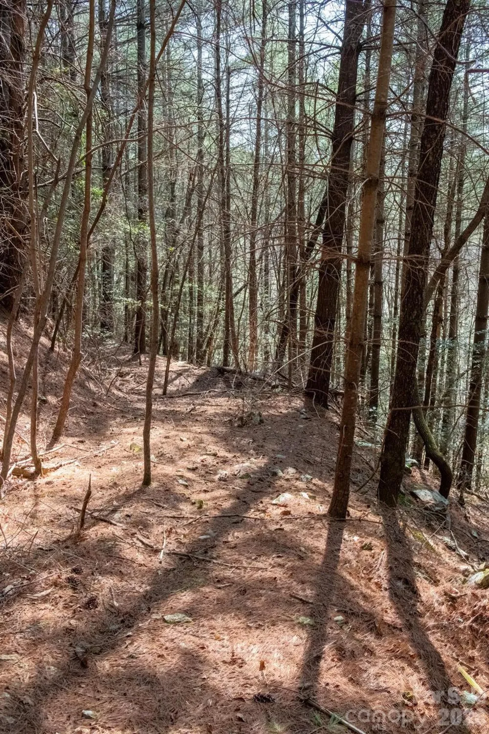 TBD Ritter Ridge Lane #27 Collettsville, NC 28611