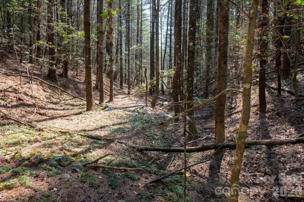 TBD Ritter Ridge Lane #27 Collettsville, NC 28611