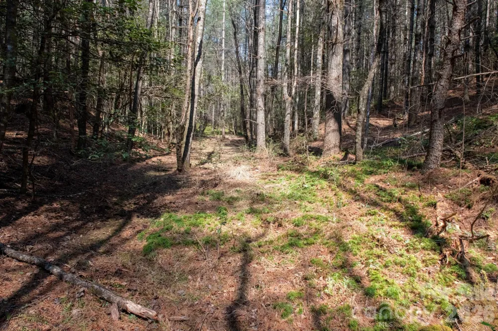 TBD Ritter Ridge Lane #27 Collettsville, NC 28611