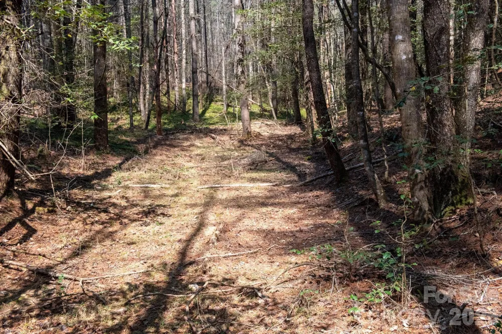 TBD Ritter Ridge Lane #27 Collettsville, NC 28611