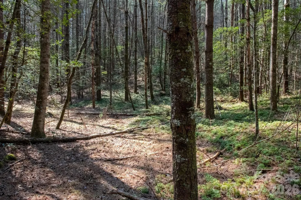 TBD Ritter Ridge Lane #27 Collettsville, NC 28611