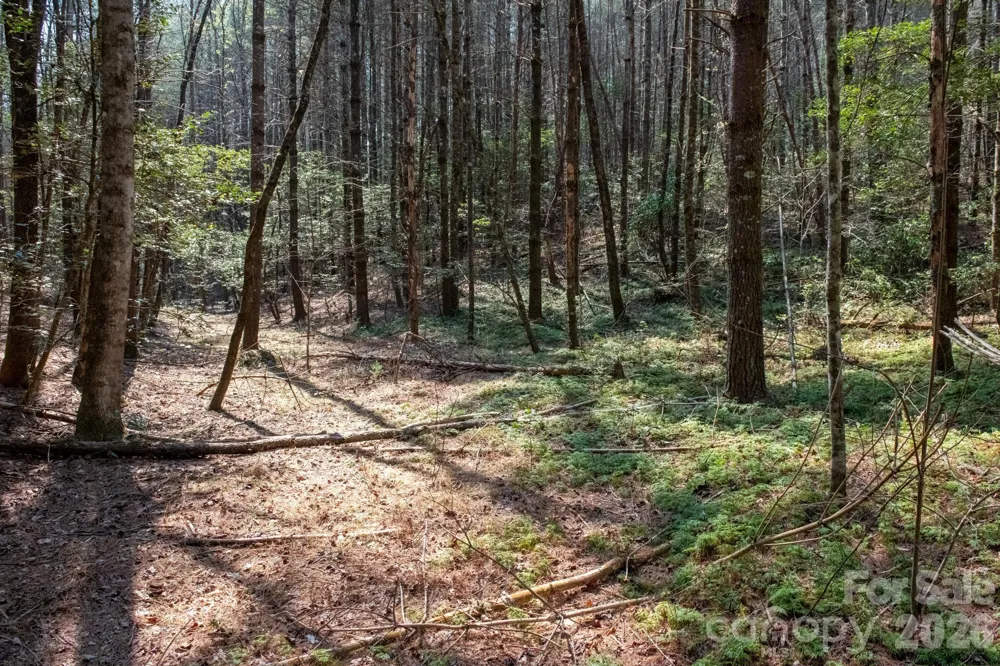 TBD Ritter Ridge Lane #27 Collettsville, NC 28611