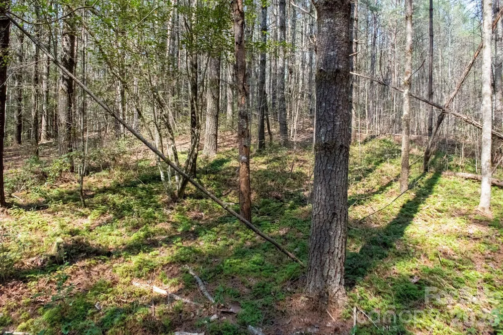 TBD Ritter Ridge Lane #27 Collettsville, NC 28611