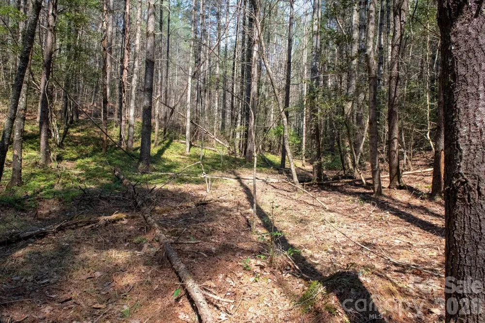 TBD Ritter Ridge Lane #27 Collettsville, NC 28611