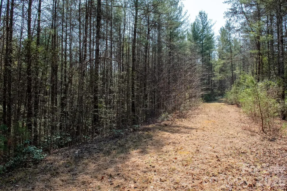 TBD Ritter Ridge Lane #27 Collettsville, NC 28611