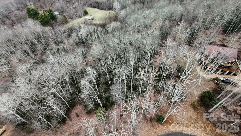 TBD Vineyards Retreat Road #14 Newland, NC 28657