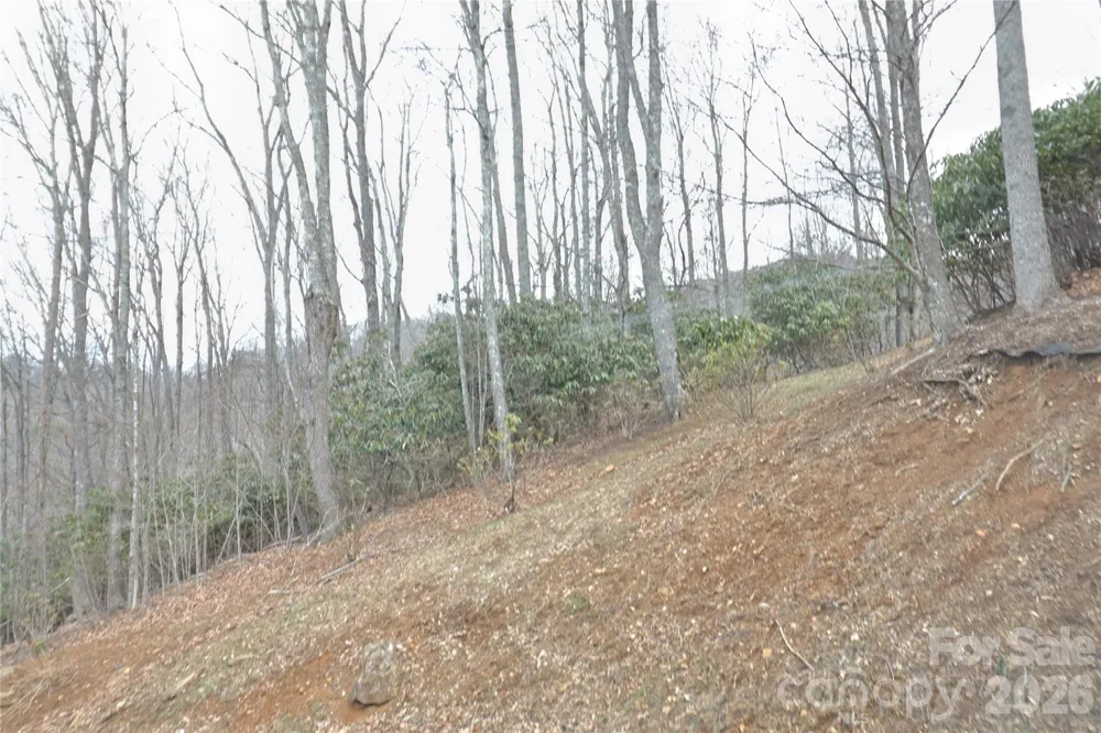 TBD Vineyards Retreat Road #14 Newland, NC 28657