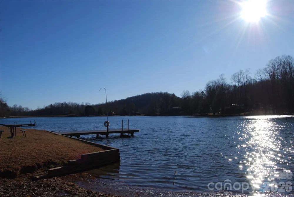 87 Pole Cat Road Saluda, NC 28773