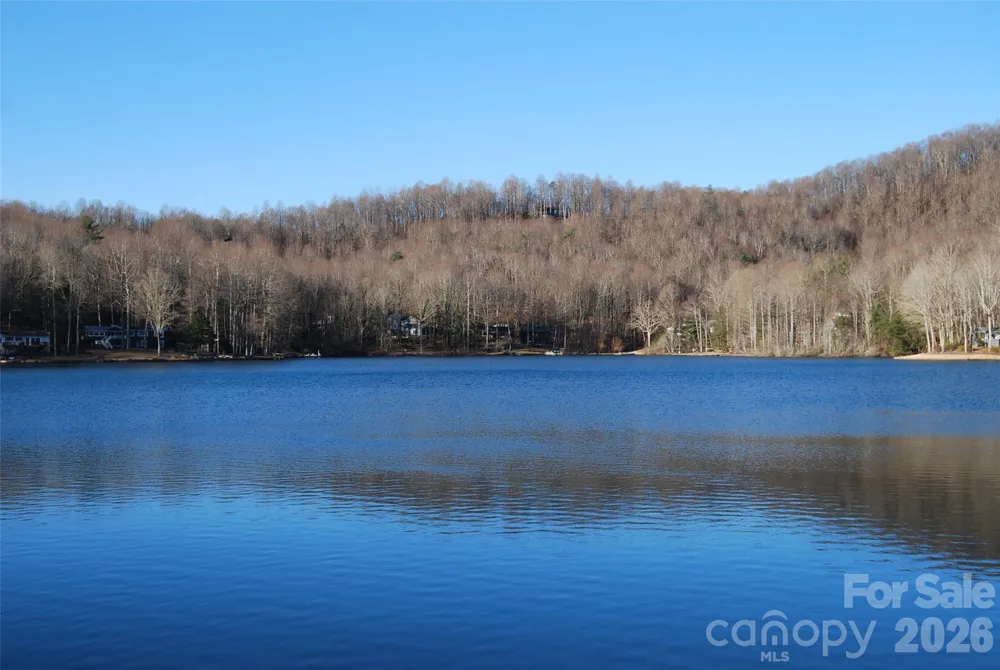 87 Pole Cat Road Saluda, NC 28773