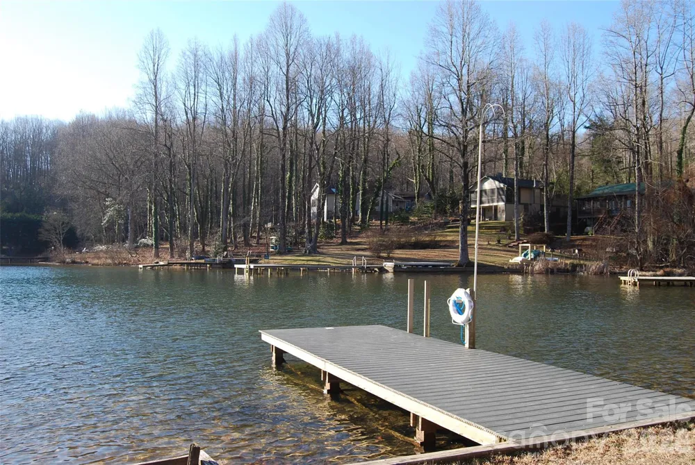 87 Pole Cat Road Saluda, NC 28773