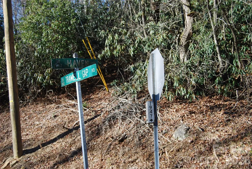 87 Pole Cat Road Saluda, NC 28773