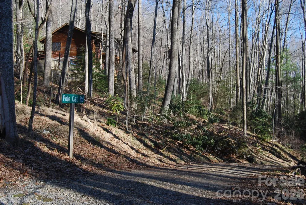 87 Pole Cat Road Saluda, NC 28773