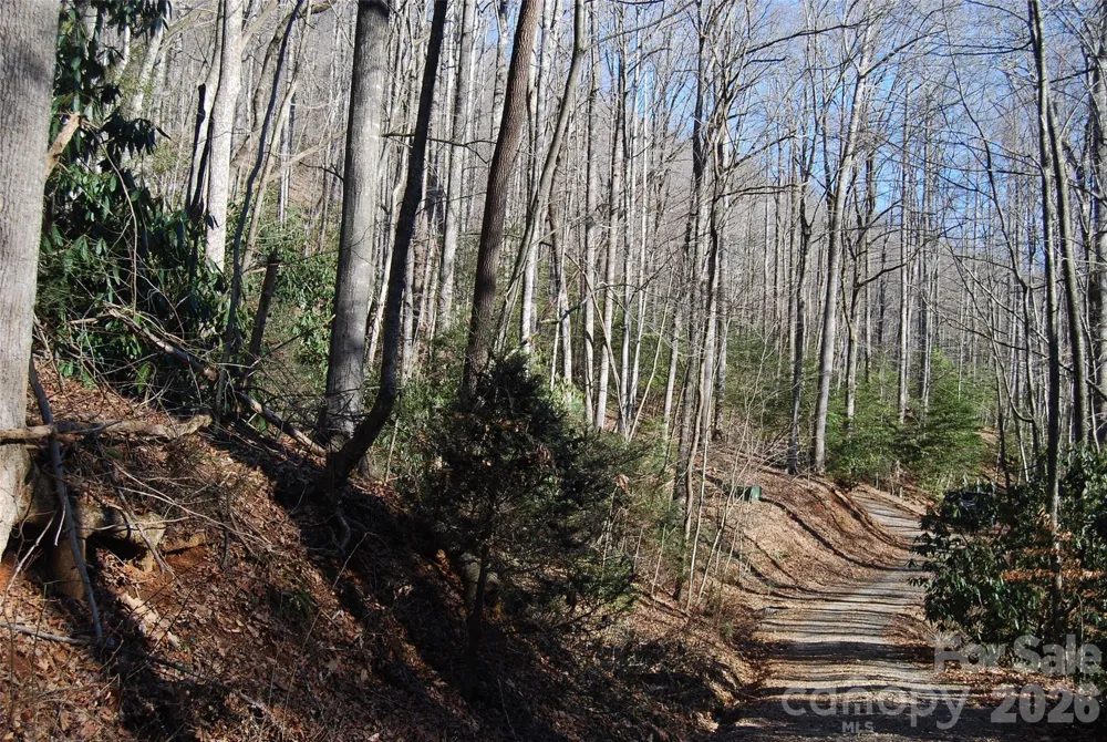 87 Pole Cat Road Saluda, NC 28773