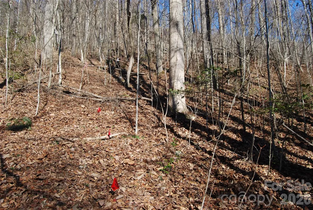 87 Pole Cat Road Saluda, NC 28773