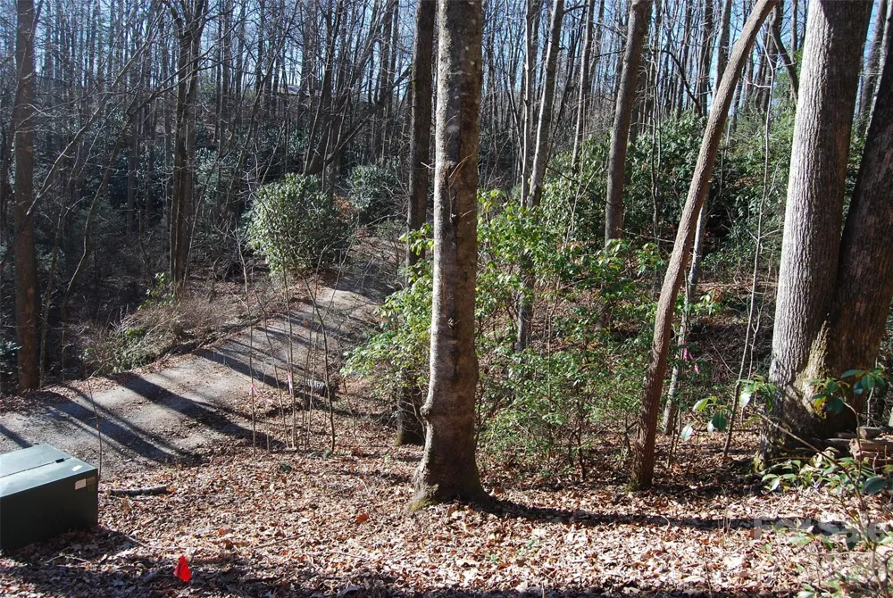 87 Pole Cat Road Saluda, NC 28773