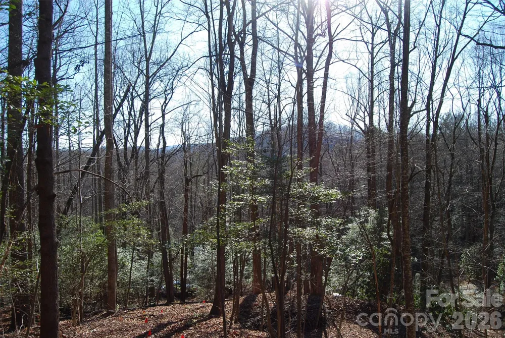 87 Pole Cat Road Saluda, NC 28773