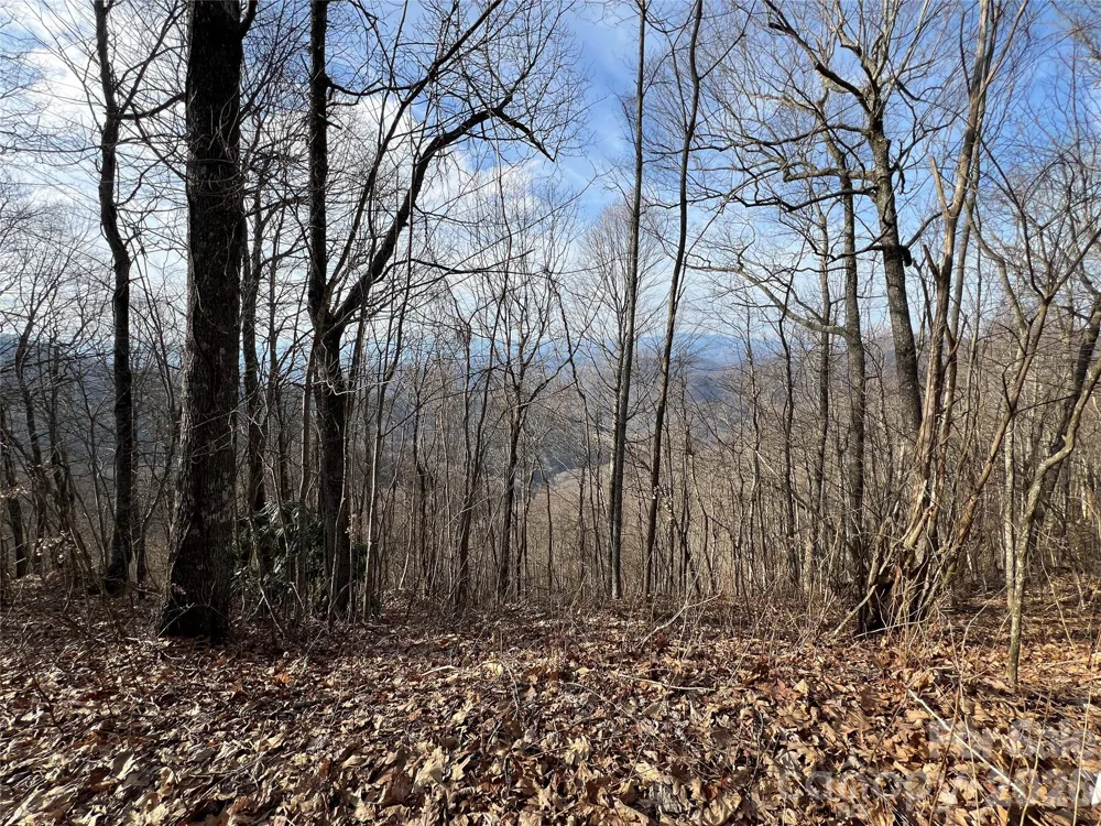 Lot 24/26 Butterfly Path Bryson City, NC 28713