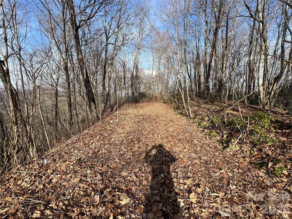 Lot 24/26 Butterfly Path Bryson City, NC 28713