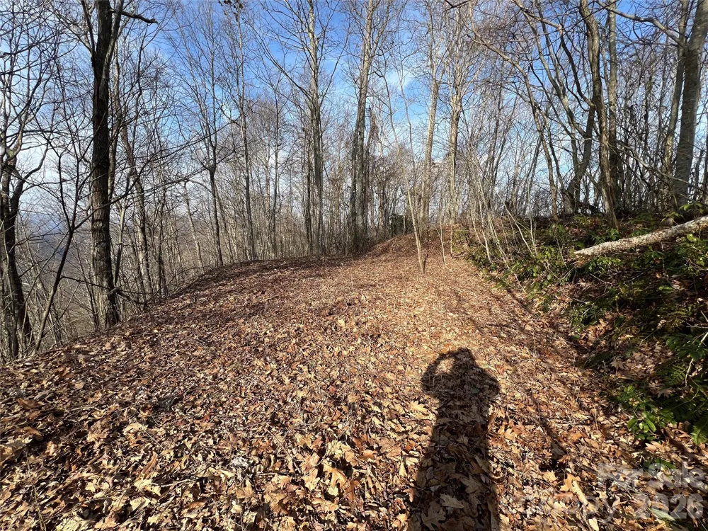Lot 24/26 Butterfly Path Bryson City, NC 28713