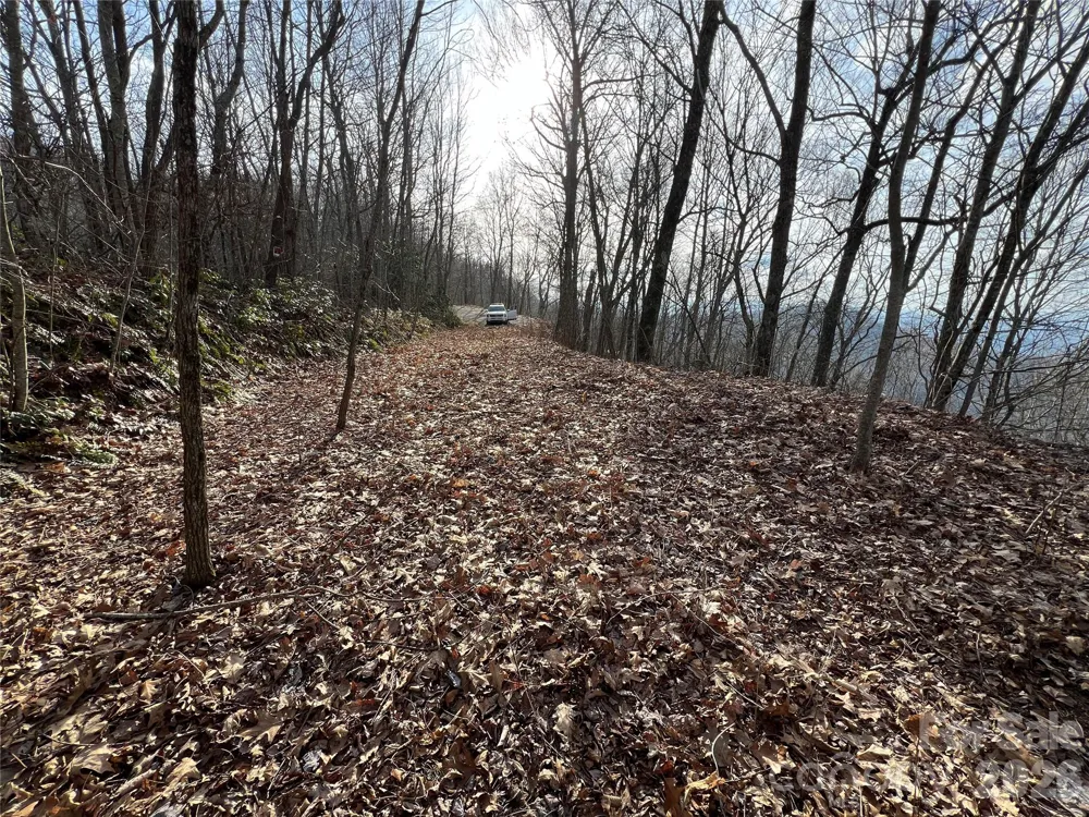 Lot 24/26 Butterfly Path Bryson City, NC 28713
