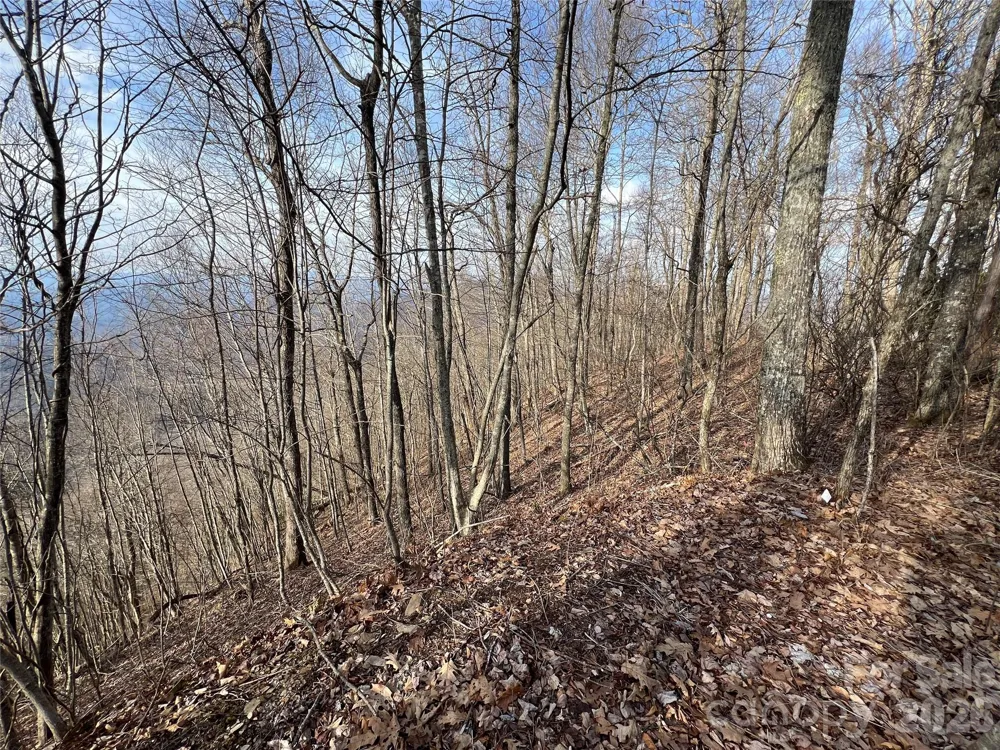 Lot 24/26 Butterfly Path Bryson City, NC 28713