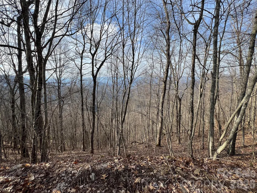 Lot 24/26 Butterfly Path Bryson City, NC 28713