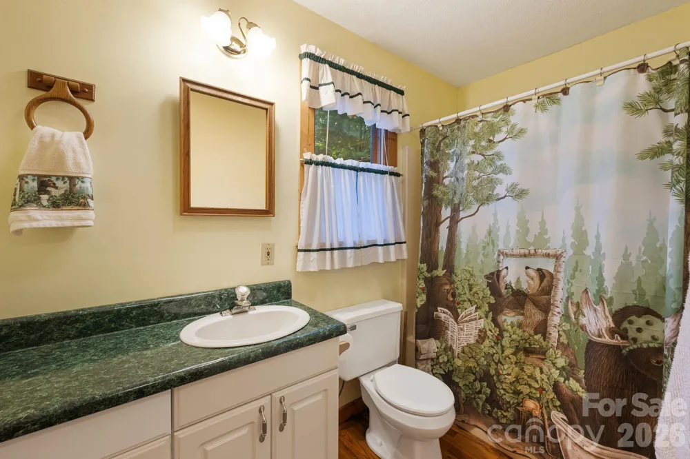 180 Grace Way Green Mountain, NC 28740
