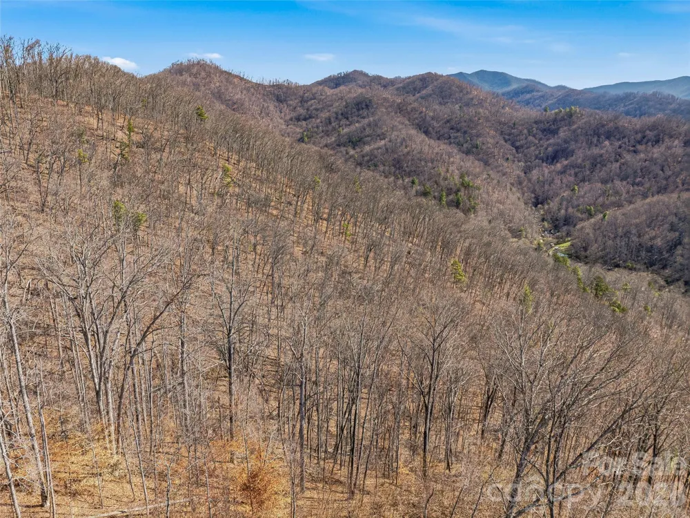 182 Whittemore Branch Road Barnardsville, NC 28709