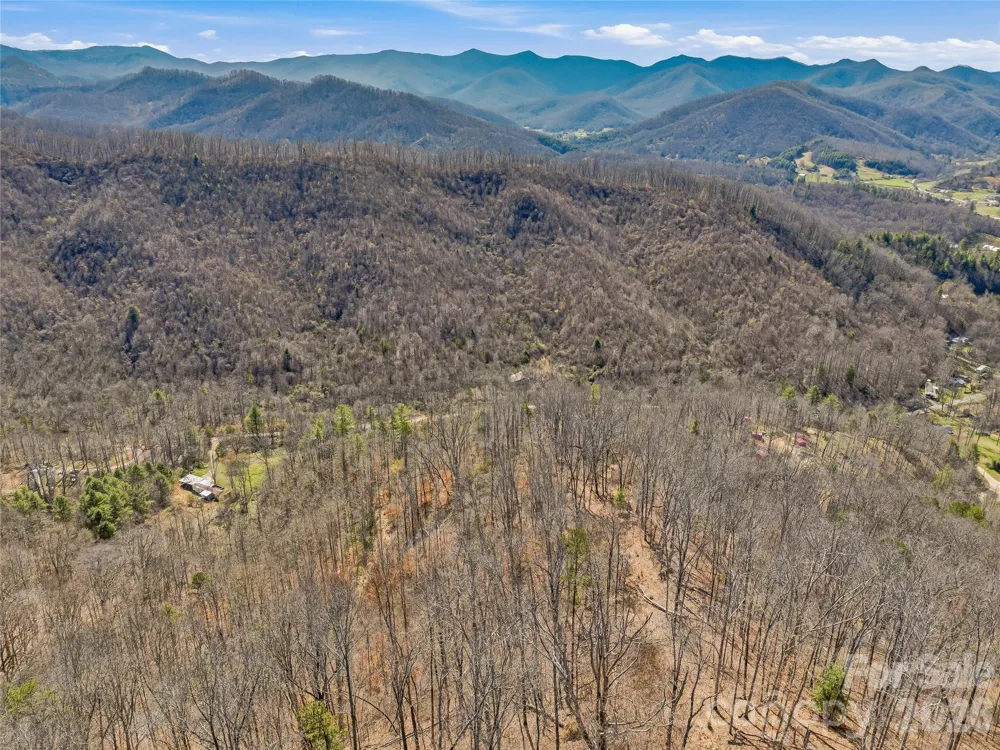 182 Whittemore Branch Road Barnardsville, NC 28709
