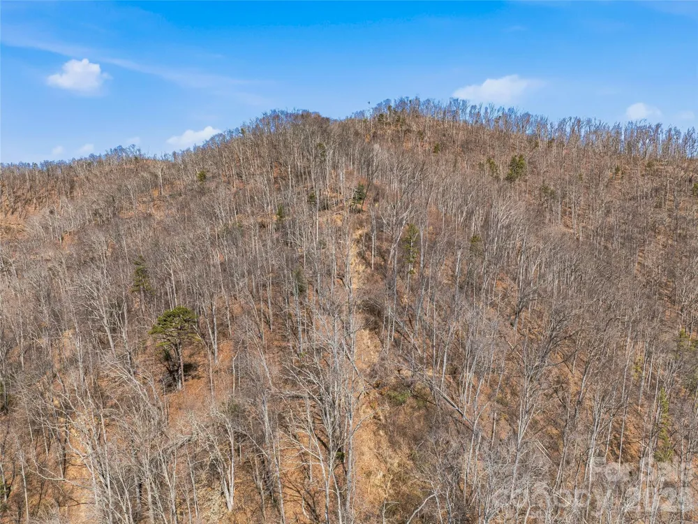 182 Whittemore Branch Road Barnardsville, NC 28709