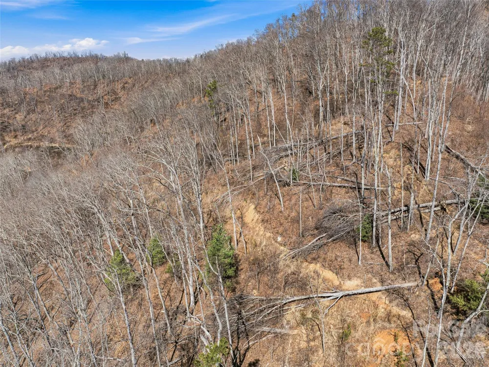 182 Whittemore Branch Road Barnardsville, NC 28709