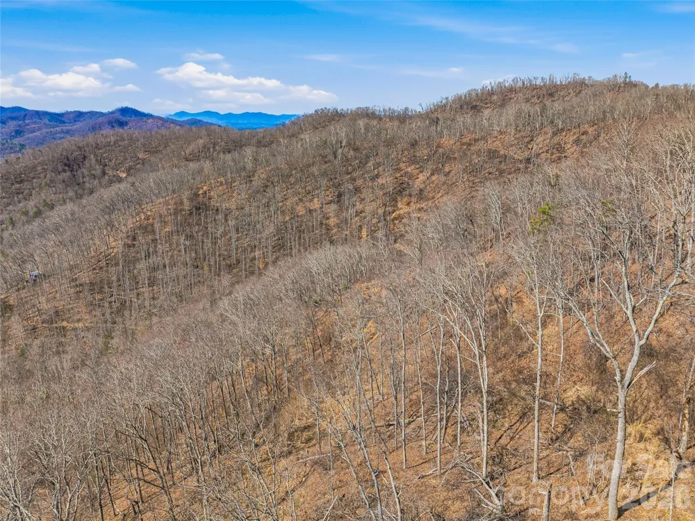 182 Whittemore Branch Road Barnardsville, NC 28709