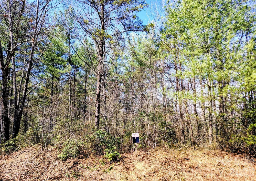 10 Acres Tahoe Trail Collettsville, NC 28611