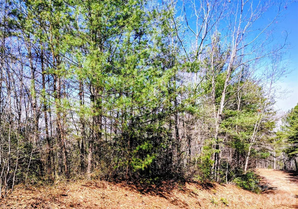 10 Acres Tahoe Trail Collettsville, NC 28611
