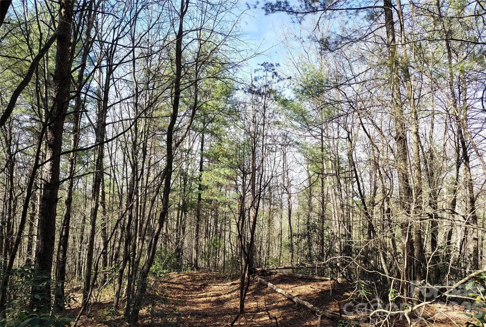 10 Acres Tahoe Trail Collettsville, NC 28611