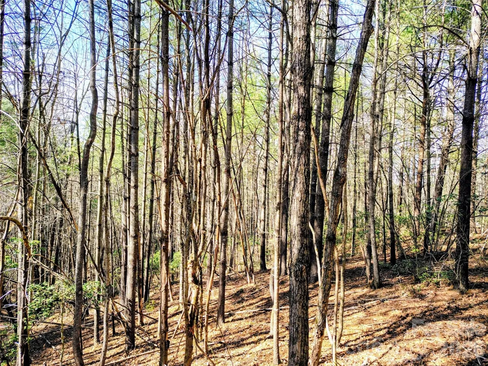 10 Acres Tahoe Trail Collettsville, NC 28611