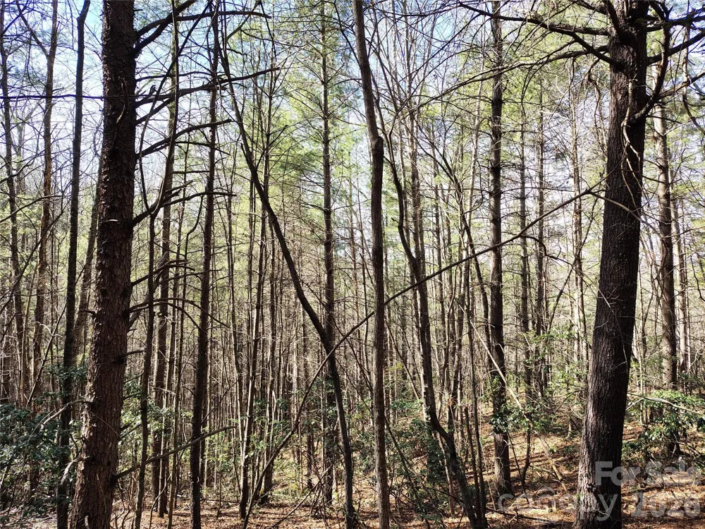 10 Acres Tahoe Trail Collettsville, NC 28611