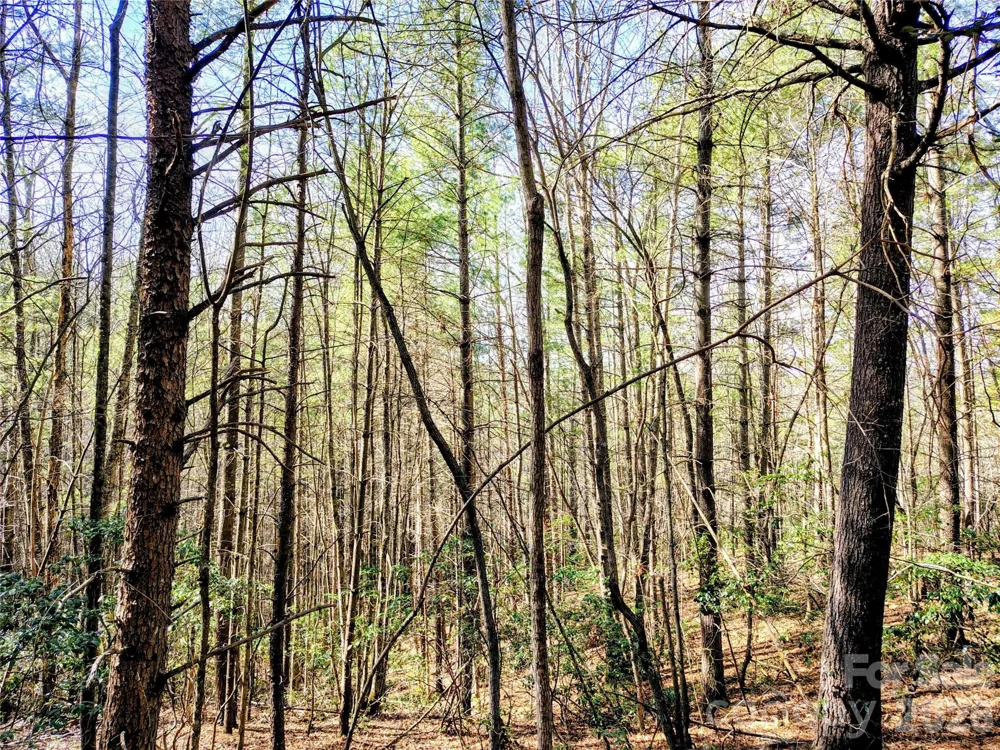 10 Acres Tahoe Trail Collettsville, NC 28611